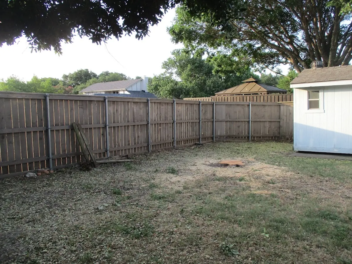 Cleared yard after professional tree removal in Tallulah Falls