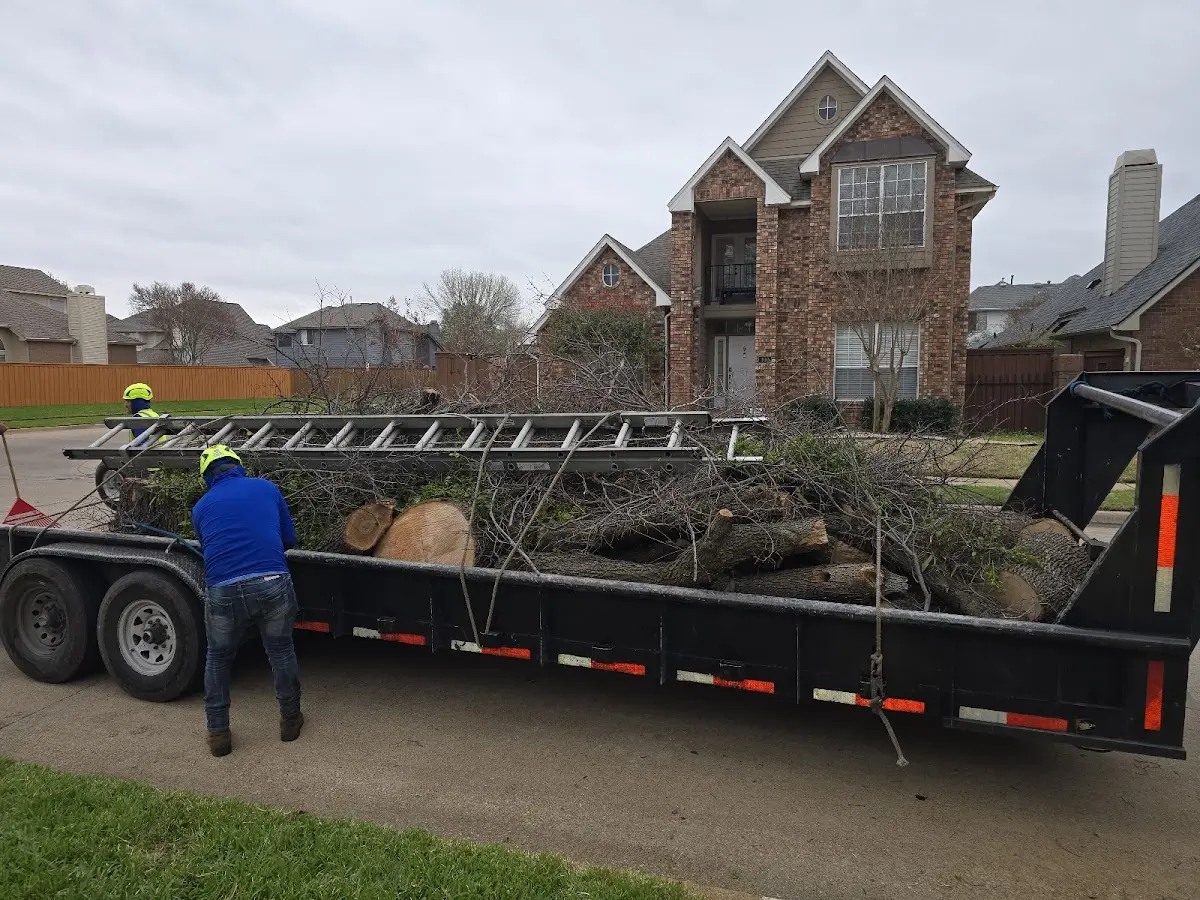 Expert Tree Pest Control with proper safety equipment in Tallulah Falls